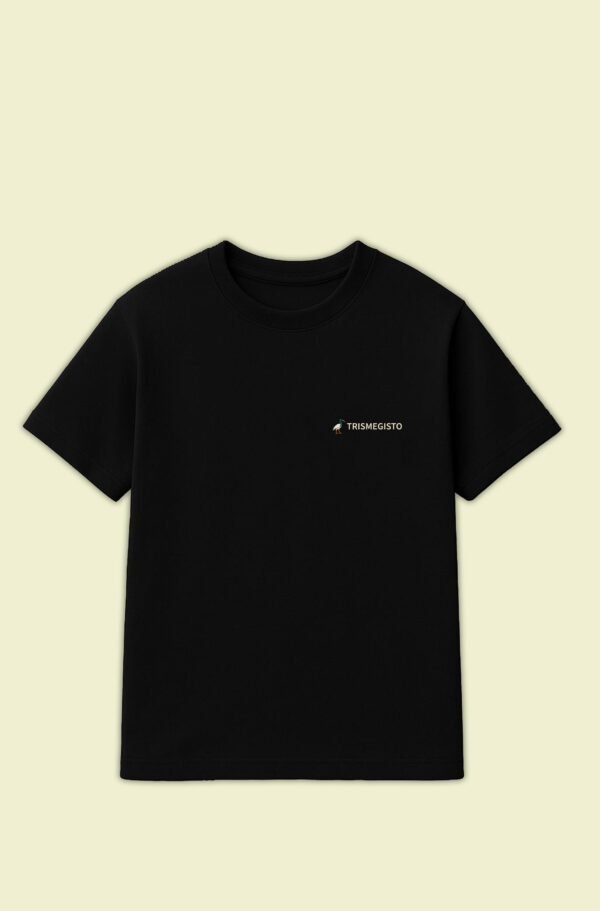 Wicked SS O-Neck Selected Homme man 05