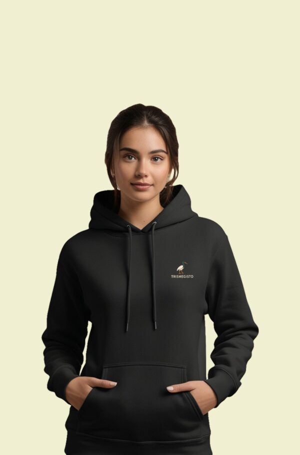 Print Ls College Sweat Hodie VN
