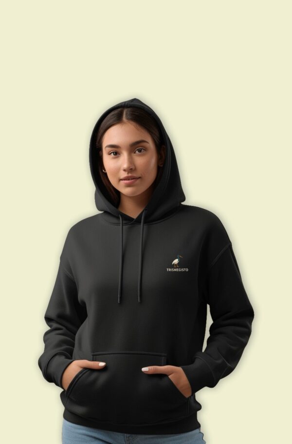 Print Ls College Sweat Hodie